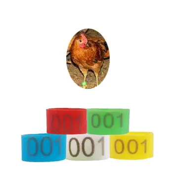 100VNT 20MM 001-100 Sunumeruoti Plastiko Naminiai paukščiai Vištos Antys Žąsys Kojų žiedų, Žiedai Clip-On Paukščių Identifikavimo Juosta 5Colors