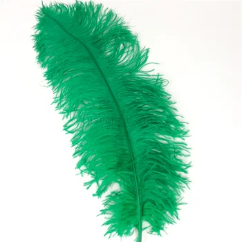100vnt uodega polių natūralių Stručio Plunksnų 10-45CM/4-18Inch dažyti žalia šalis kaukė šukuosena drabužių priedai