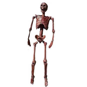 165cm Kelti N Likti Mummification Skeletas Helovinas Apdailos Plastikinių Žmogaus Skeletas