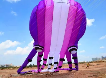 3D jouet vaivorykštė kite minkšta rankenos volante stunt kite pipas kitesurf violetinė fėja didelis aitvaras plaukioja žaisliniai lauko 
