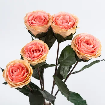 4pcs,Džiovintų Gėlių,Filialas, Dirbtinis Medienos Rose Amžinąjį gėlių, namų dekoravimo reikmenys,Vestuves Velykų Gėlių dekoras