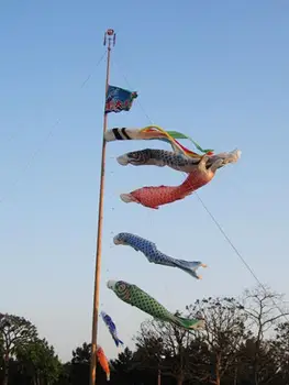 5vnt 55cm Japonijos Karpis Koinobori Windsock Banner Vėliavos Žuvų Aitvaras Vėjo Streamer Šventė Apdaila -- 5 Spalvų RINKINYS