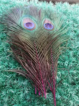 Didmeninė 50pcs/lot 25~30 cm, dažytos ir violetinė Gamtos Povo Plunksnų parduoti dekoratyvinis plunksnos
