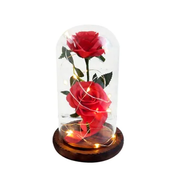 Dirbtinio Šilko Rožių Žiedų Stiklo Kupolas Su LED Šviesos Eilutę Dovana Merginoms Valentino Dienos, Motinos Dienos, USB Powered Karšto