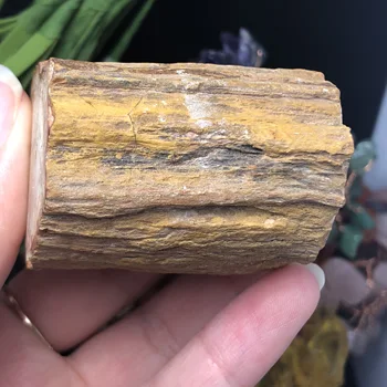 Gamtos Suakmenėjęs medis iškastinio originalus akmens žaliava, kalnų Krištolas Kvarco Mineralų Pavyzdys Gydymo Reiki namų Dekoro