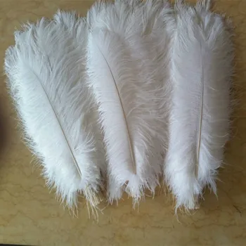 Gamtos balta stručio plunksna 40-45 cm / 16 to18 cm 50 vnt stručio plunksna, vestuvių papuošimai aukštos kokybės kamuolio