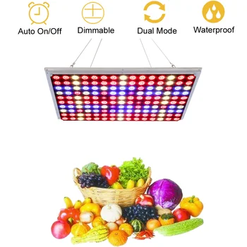 JCBritw 1000W LED Grow Light viso Spektro SPINDULIŲ UV Quantum Auginimo Lempos šviesos srautą galima reguliuoti su Laikmačiu Kambarinių Augalų Sodinukai Daržovių Gėlės