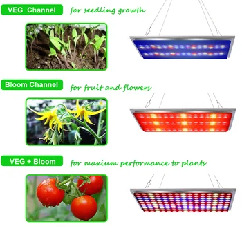 JCBritw 1000W LED Grow Light viso Spektro SPINDULIŲ UV Quantum Auginimo Lempos šviesos srautą galima reguliuoti su Laikmačiu Kambarinių Augalų Sodinukai Daržovių Gėlės