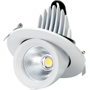 LED Downlight 220V110V Vietoje, LED downlight Pritemdomi 7W 10W 12W 15W Įleidžiamas LED Lubų Downlight Šviesos Šalta, Šilta balta Lempos