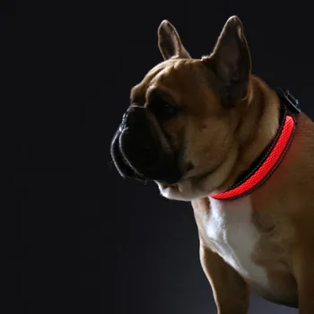 LED Šunų Antkaklis USB Įkrovimo Naminių Šunų Antkaklis Naktį Šuns Antkaklis Šviesos Įkrovimo Pet LED Naktį Saugos Mirksi Švyti Karoliai·^