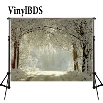 VinylBDS Backdrops 8x8ft Sniego Miško Fone Žiemos Fotografijos Backdrops Kalėdų Fonas Pasakos Miškų Nuotrauka