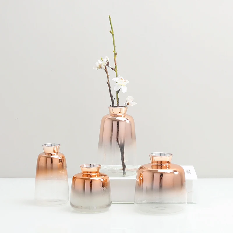 Šiuolaikinės Dekoratyvinės Vazos, Stiklo Stalo Vaza Šiaurės Apdailos Namų Hydroponic Skaidrus Gėlių Vazos Kambarį Apdaila