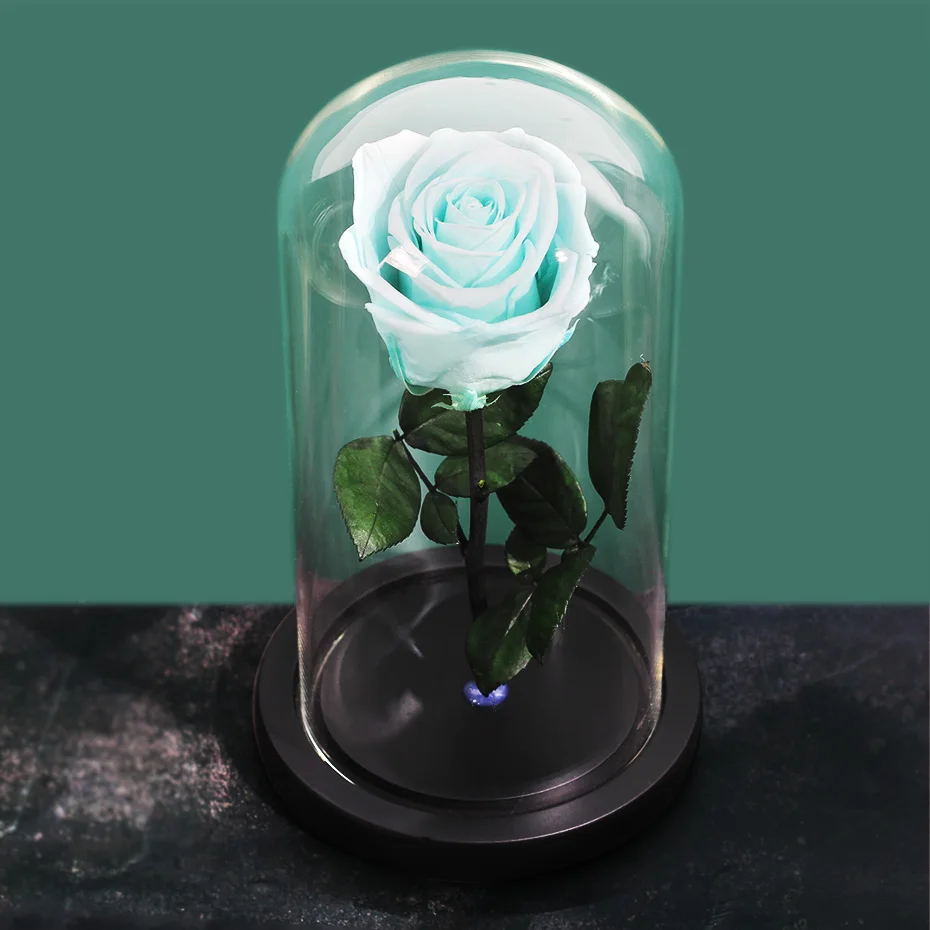 Motinos Dienos Metu Grožio ir Žvėrys Rose Valentino Dienos Dovana Eternal Rose Su Stiklo Kupolas Juodos Dirbtinių Gėlių Dovanų