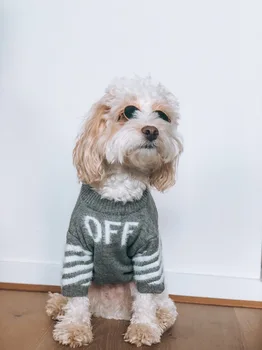 Šunelis Dėvėti Žiemą Megztinis Lankstus ir Mados Pet Dėvėti Megztinį Mažų Šunų ir Kačių Koki Teddy