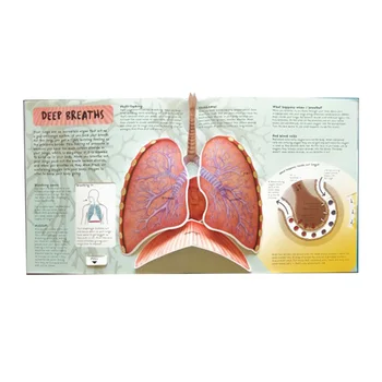 Žmogaus Kūną 3D vaizdo Knygos Anatomija Žmogaus Kūno anglų kalba Popular Science